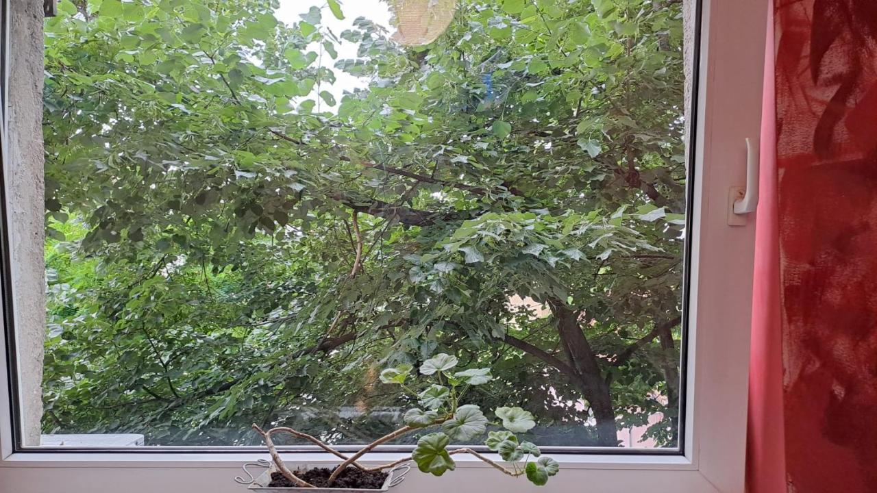 Daria Lorenzo Apartament تيميشورا المظهر الخارجي الصورة
